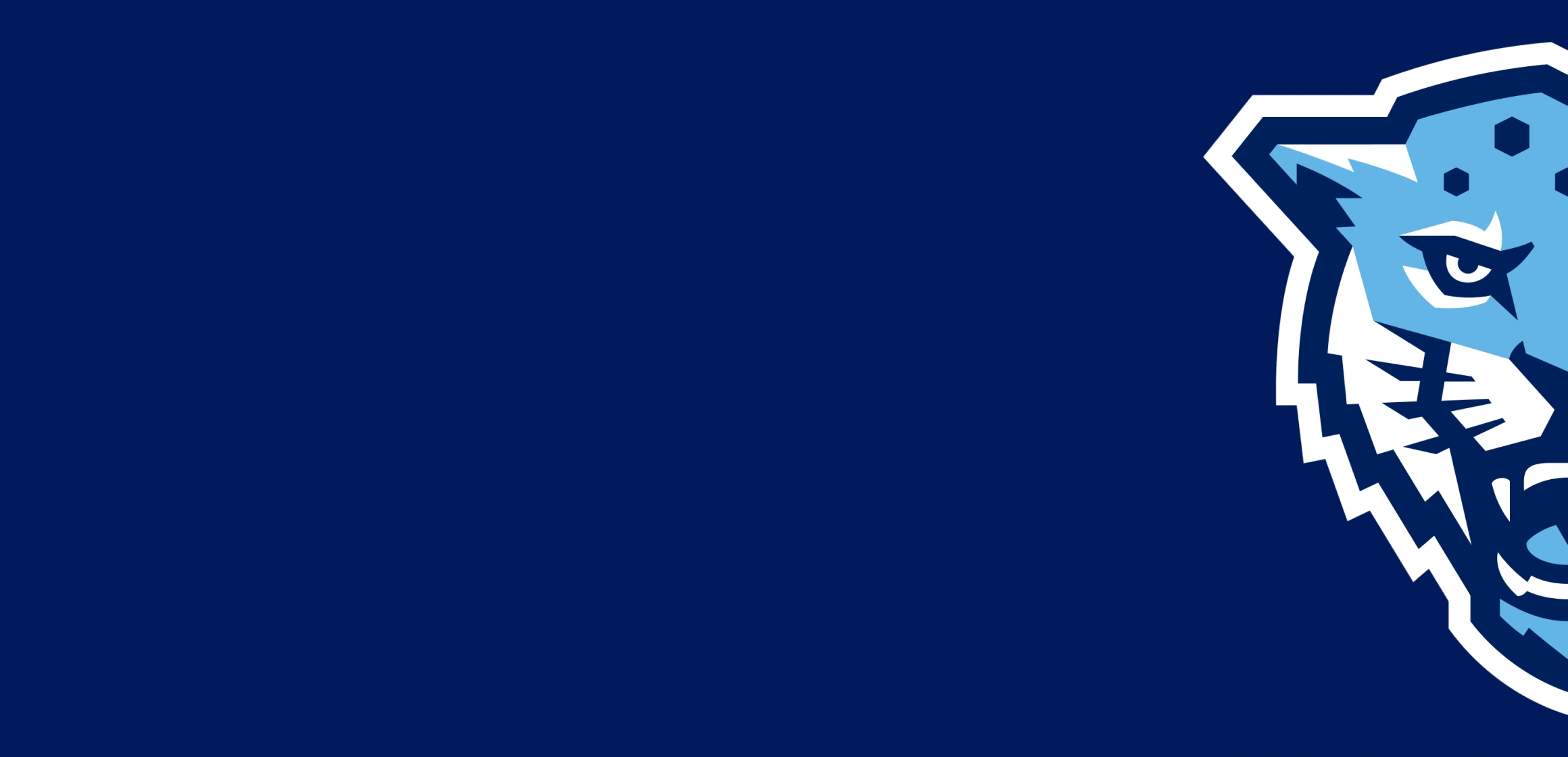 Открытый чемпионат Университета ИТМО по гонкам дронов