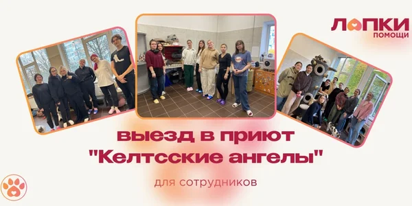 Фото события