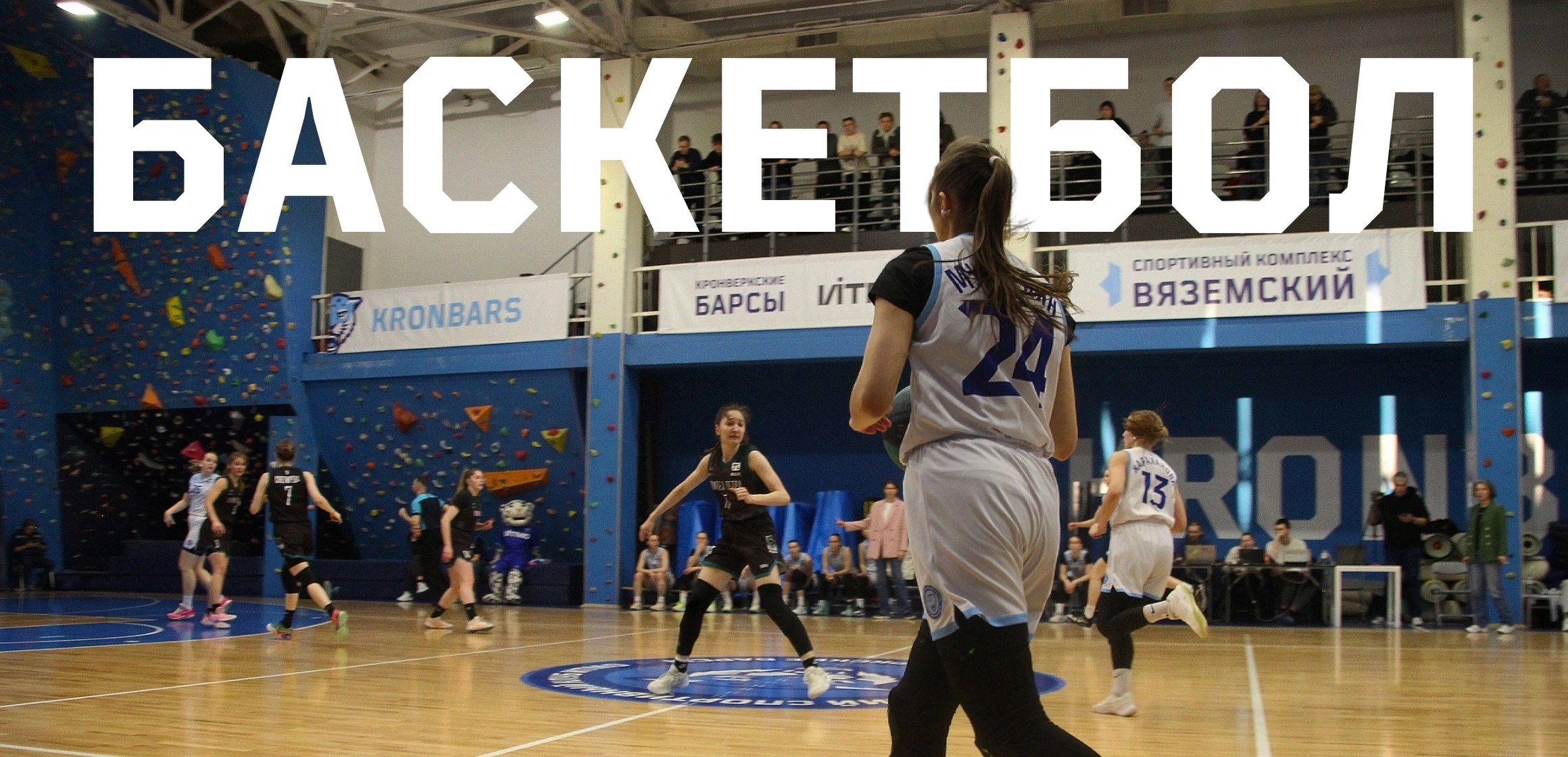 Чемпионат Санкт-Петербурга среди студентов по баскетболу (1 круг)