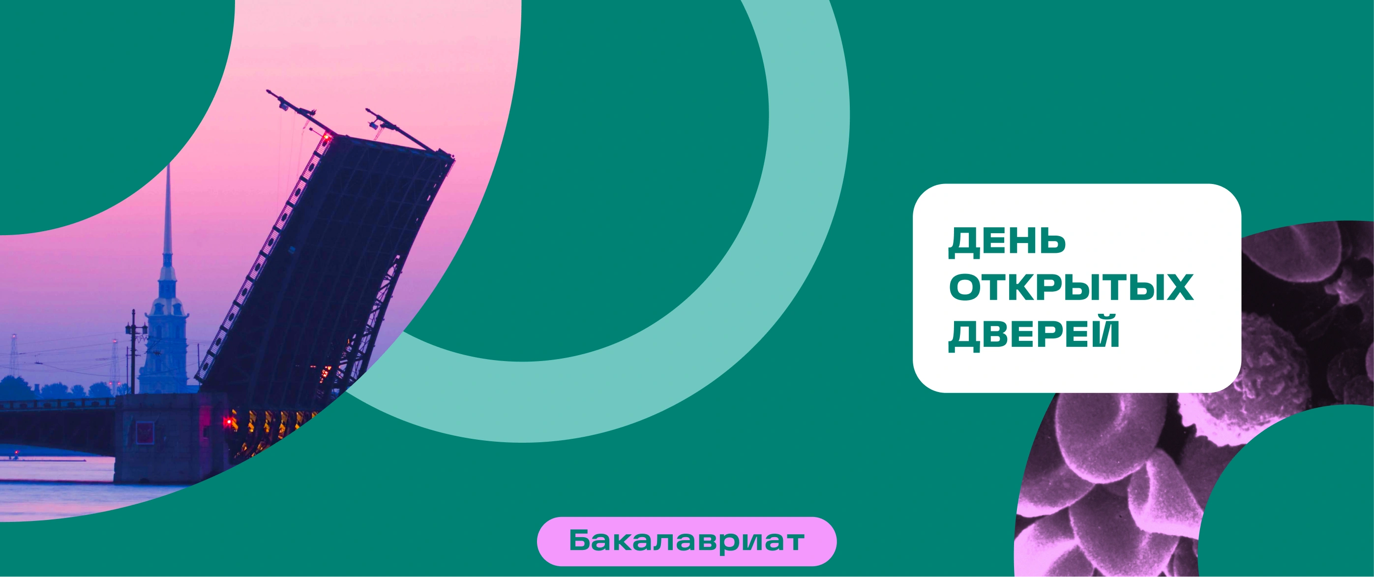 День открытых дверей | Бакалавриат