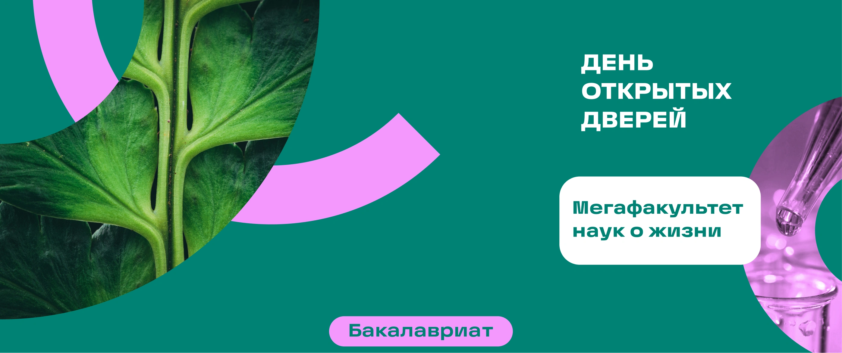 День открытых дверей | Мегафакультет наук о жизни