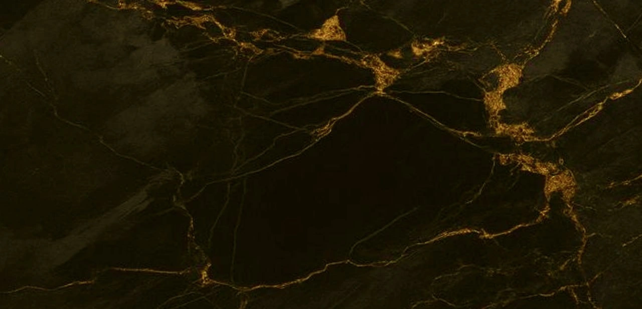 Школа гостеприимства студенческого сервисного отряда «Дракон» (весенний семестр 2026)