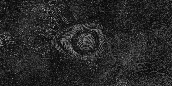 Фото события