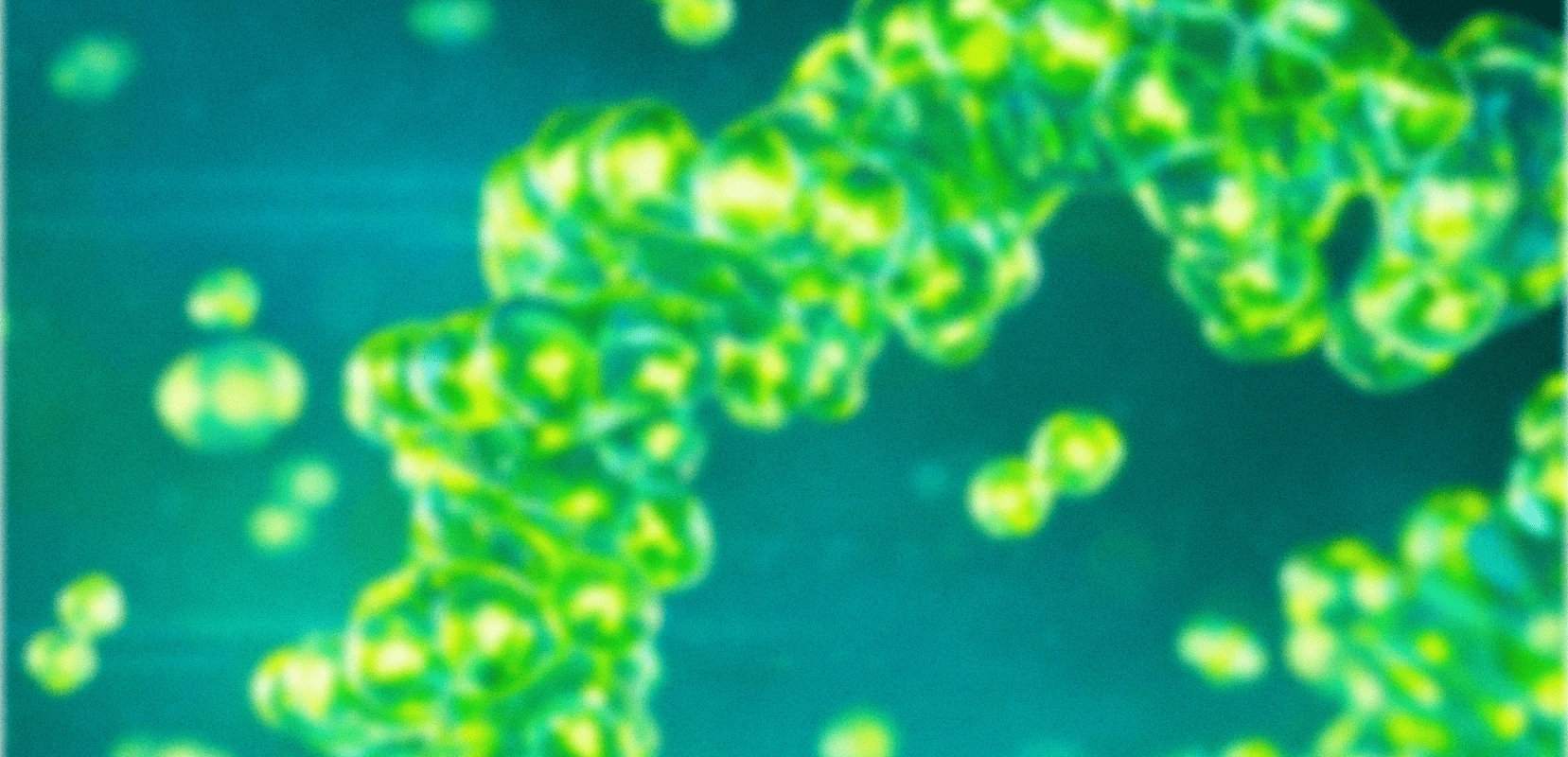 Хакатон «Биоинженерия: старт в будущее»