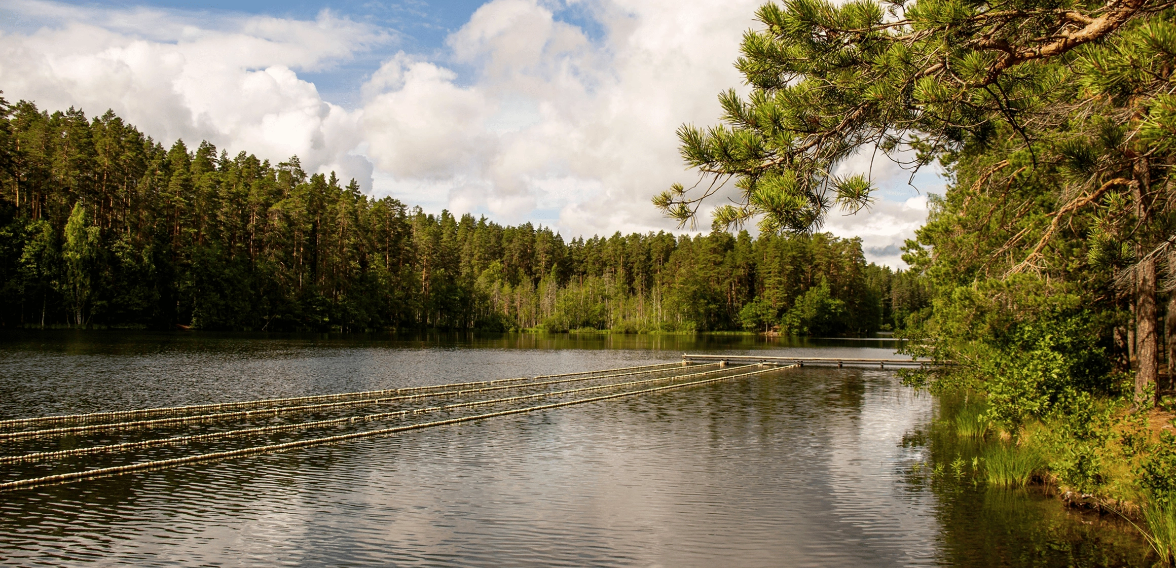 Выезд клуба IT-инфраструктуры в Ягодное