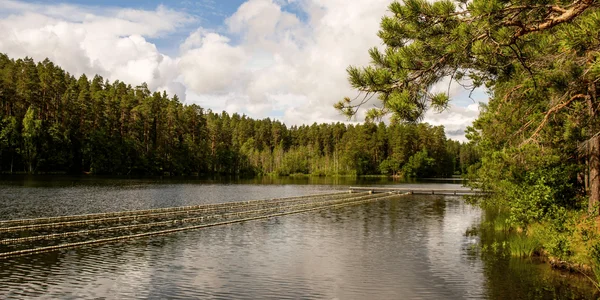 Фото события