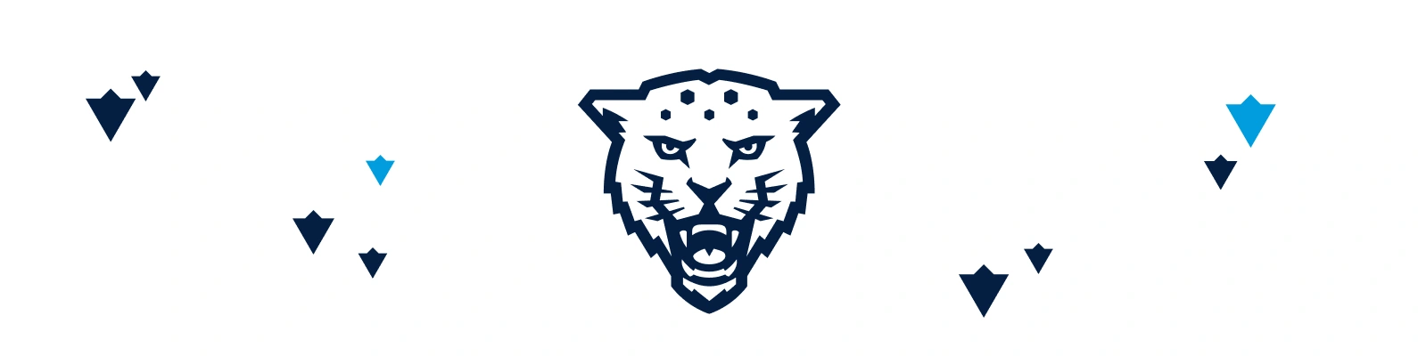 Чемпионат Университета ИТМО по воркауту