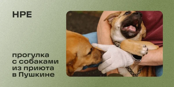 Фото события