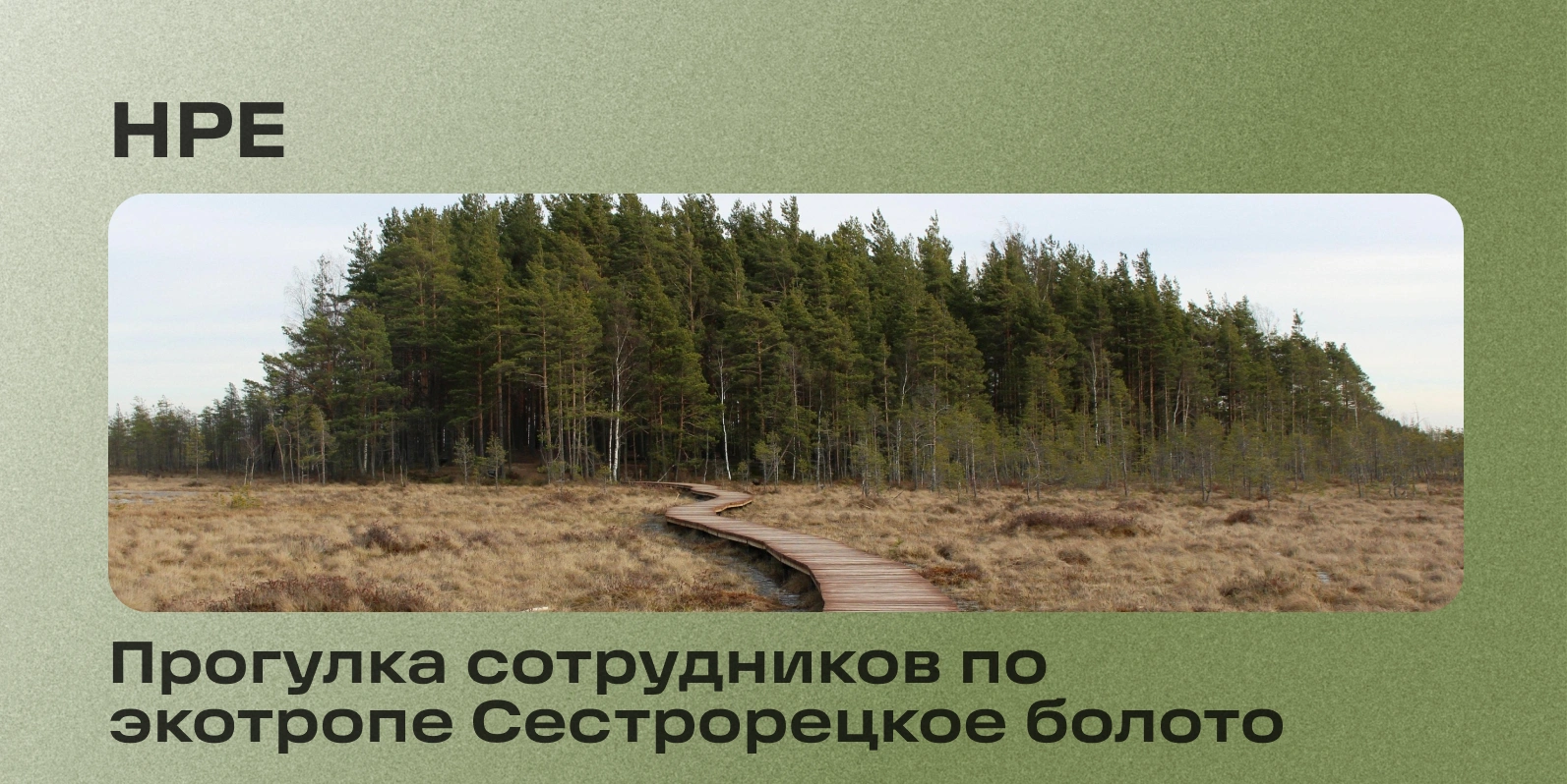 Прогулка сотрудников по экотропе Сестрорецкое болото